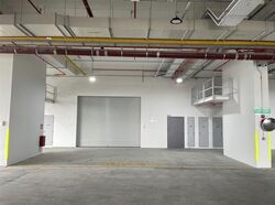 Ct Foodnex (D25), Factory #520559371
